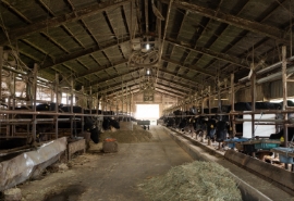 Stress-Free Environment, Tailored to Each Animal